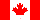 Canadian Flag - SMALL